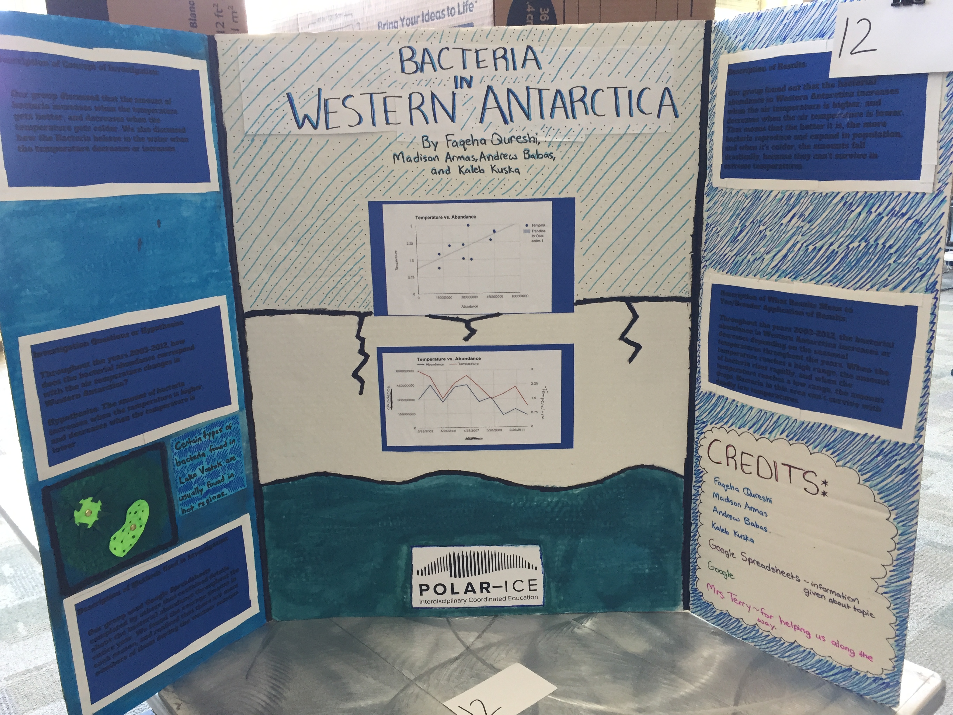 project on bacteria in western antarctica