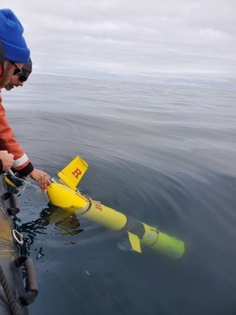 Scientists deploy a Slocum Glider off the coast of Antarctica.