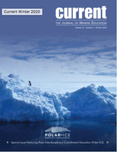 Cover image of Winter 2020 Issue of Current, showing a long penguin on an iceberg