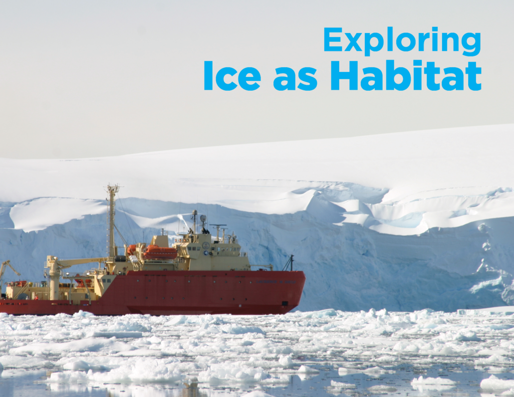 Exploring ice as habitat